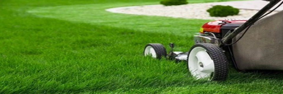 Best Self Propelled Lawn Mowers Review